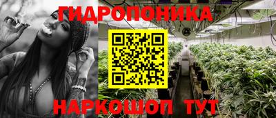 прущие грибы Кулебаки