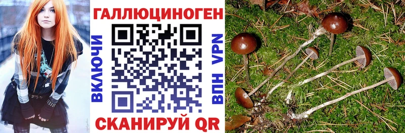 Псилоцибиновые грибы Psilocybe  купить закладку  Петрозаводск 