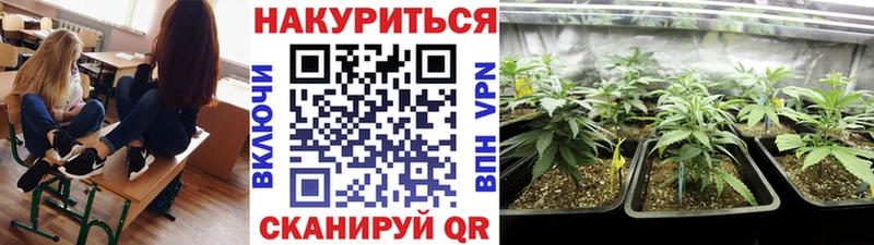 где продают наркотики  omg сайт  Шишки марихуана семена  Петрозаводск 